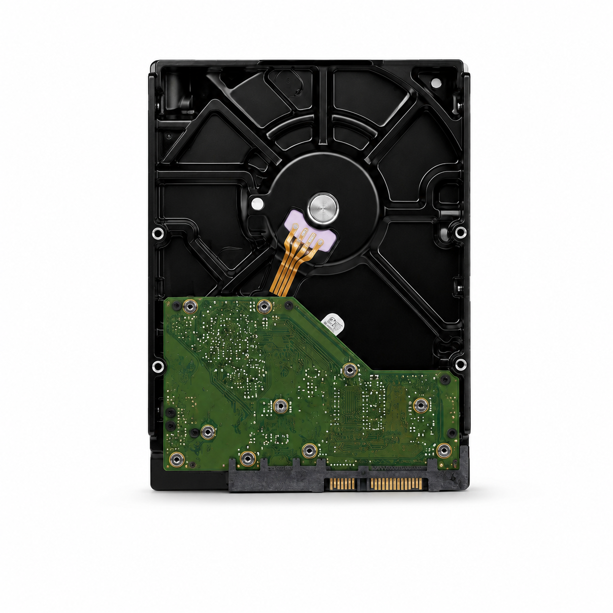 Image alt