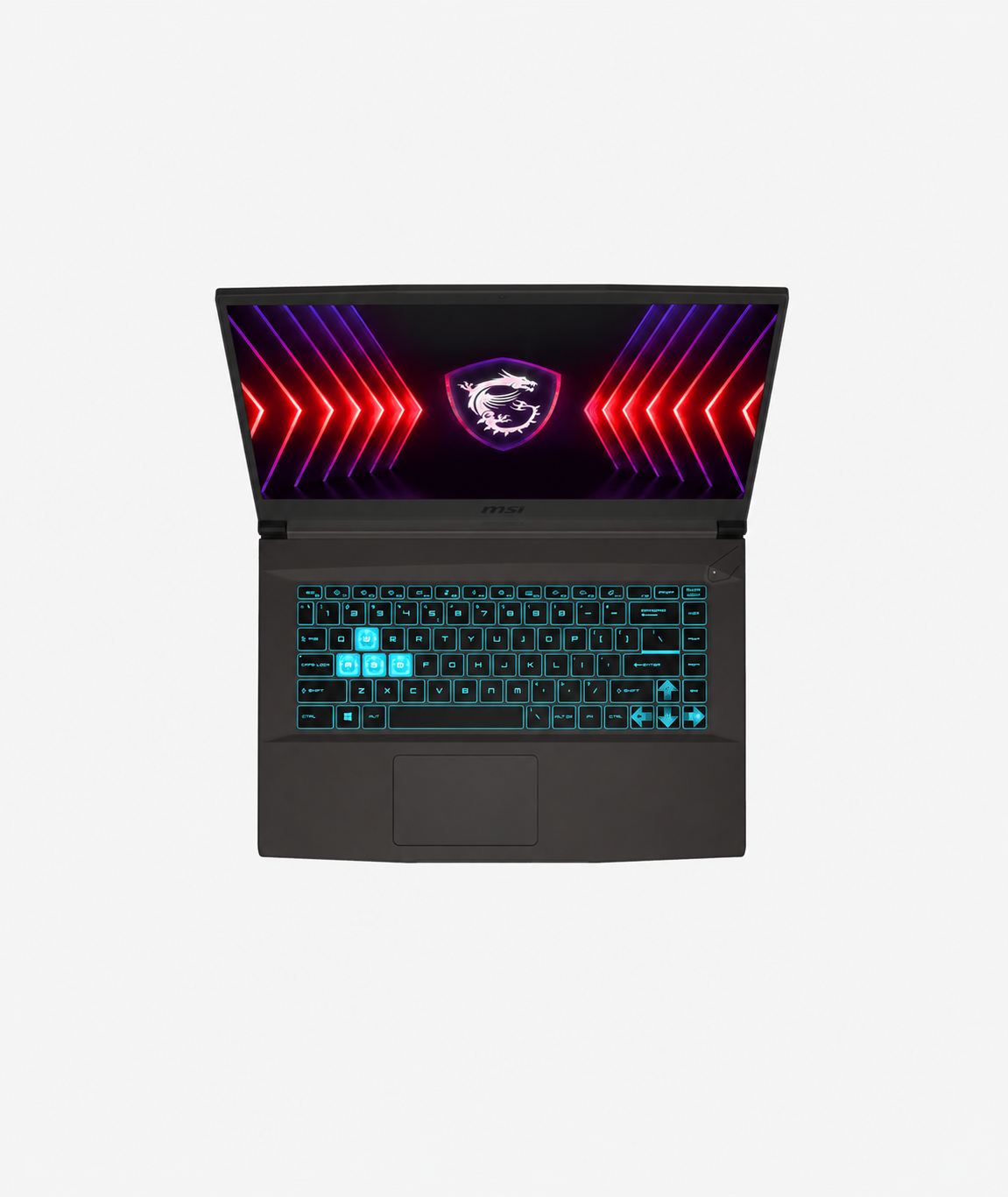 NexHive